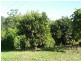 Burrell Creek NSW 2429