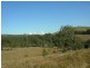 Belbora NSW 2422