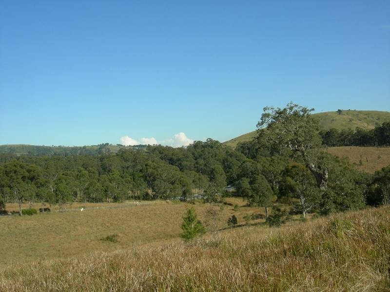 Belbora NSW 2422