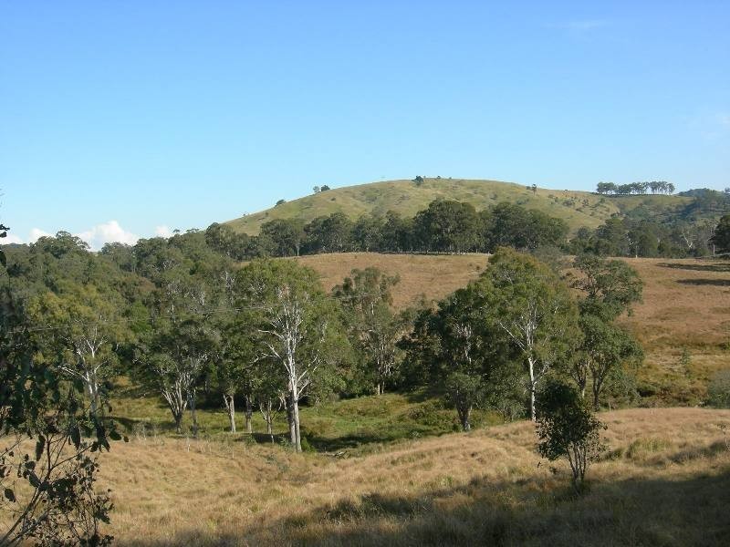 Belbora NSW 2422