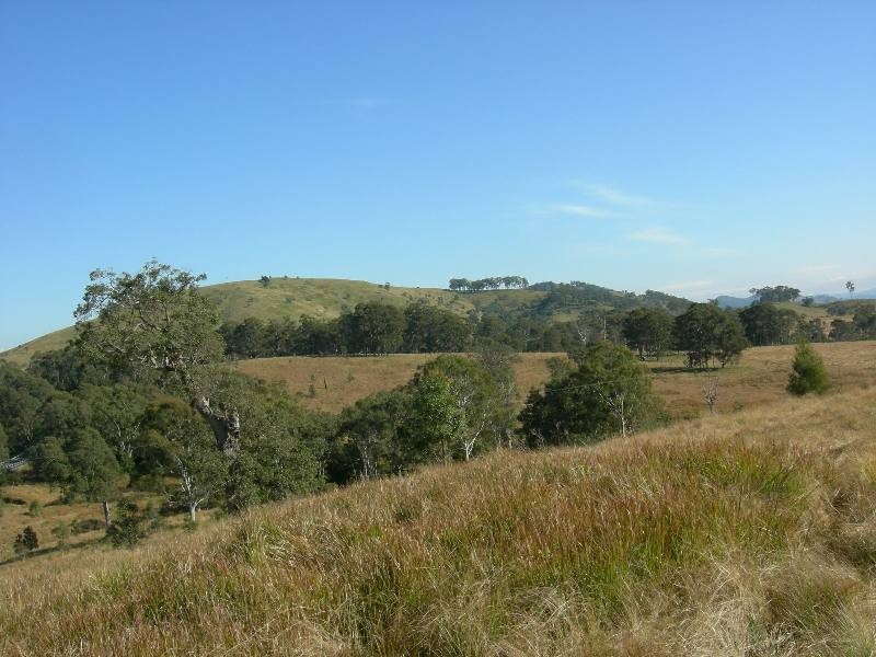 Belbora NSW 2422