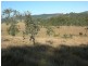 Belbora NSW 2422