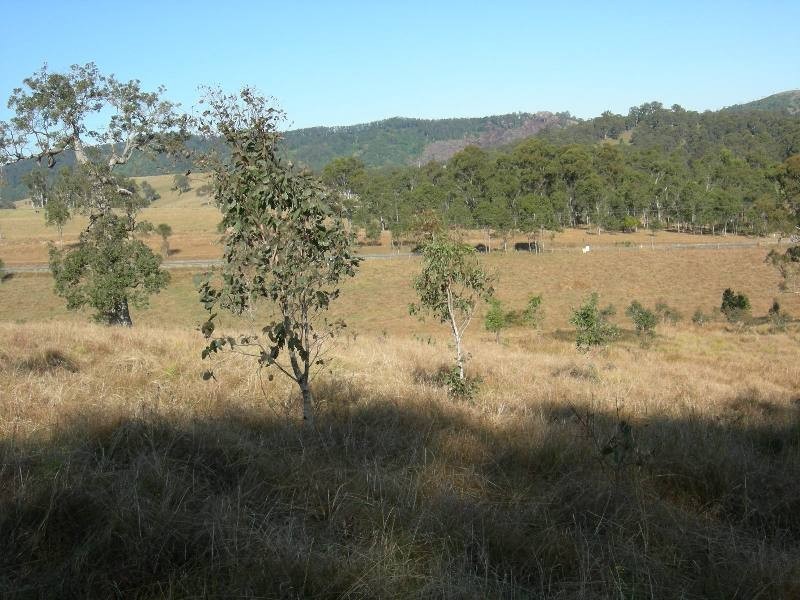 Belbora NSW 2422