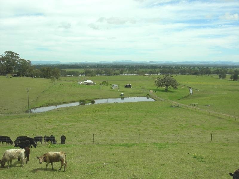 Mitchells Island NSW 2430