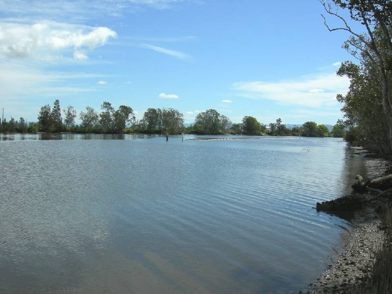 Mitchells Island NSW 2430
