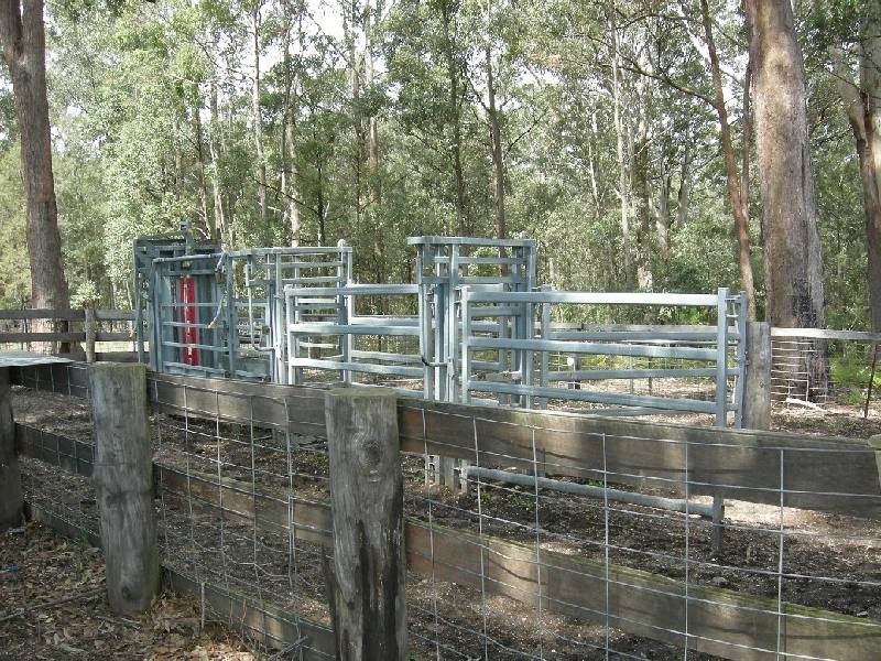 Mitchells Island NSW 2430