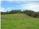 Mitchells Island NSW 2430