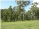 Bundook NSW 2422