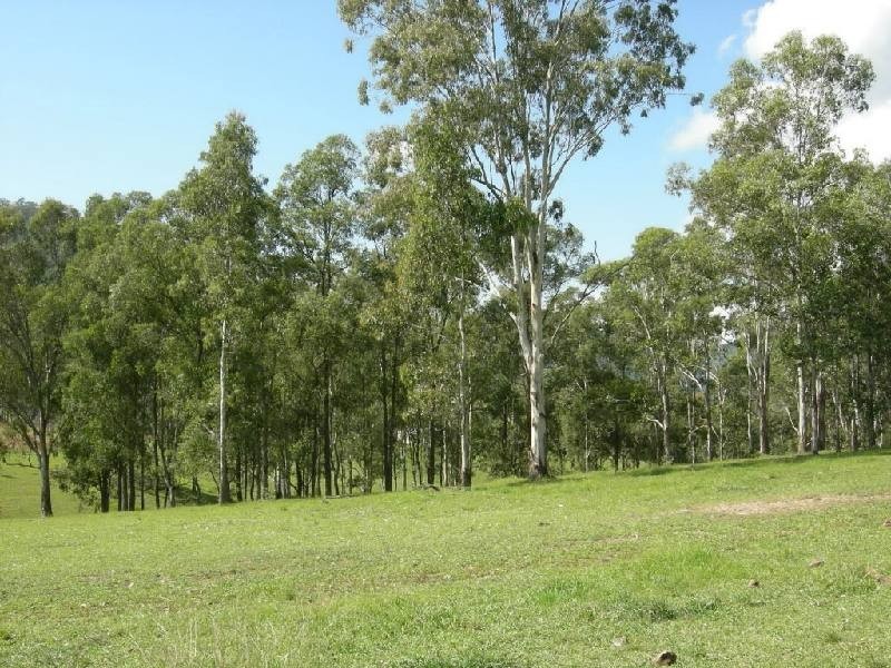 Bundook NSW 2422