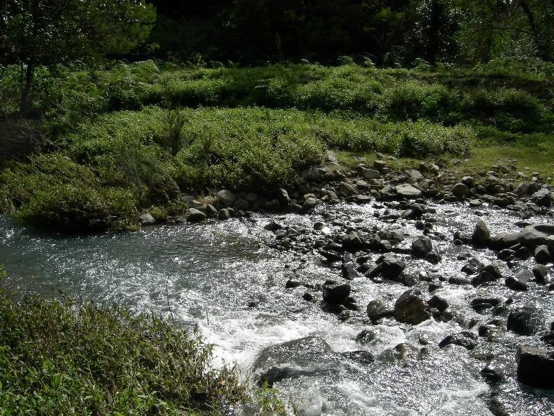 Mount George NSW 2424