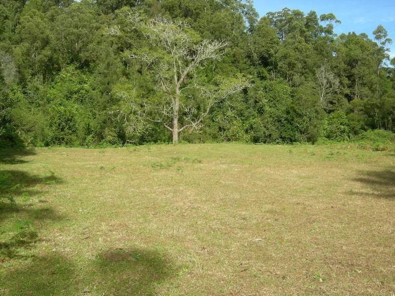 Mount George NSW 2424