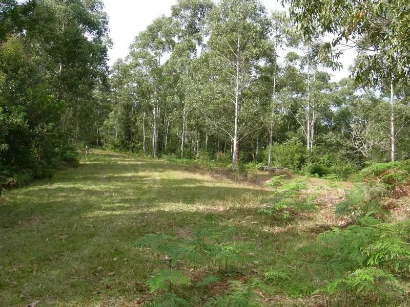 Mount George NSW 2424