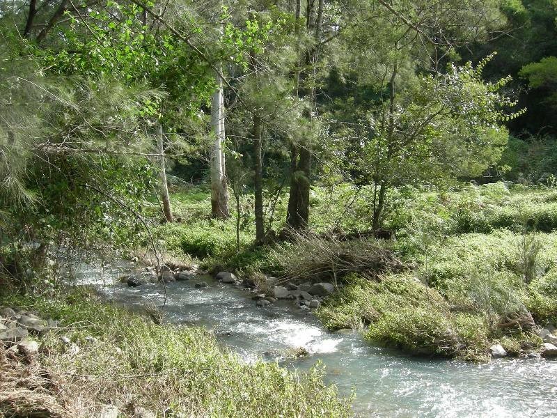 Mount George NSW 2424