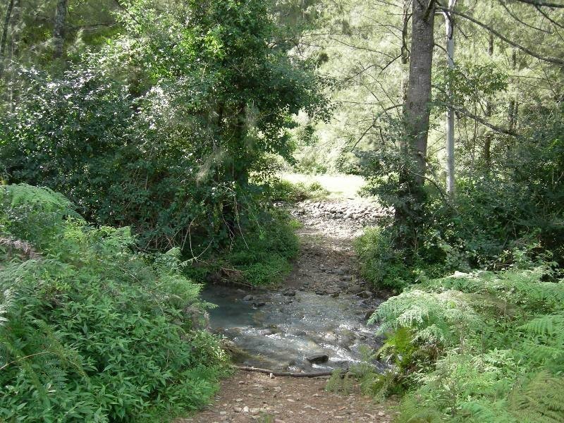 Mount George NSW 2424