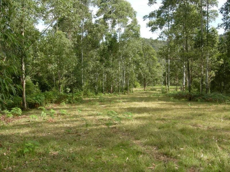 Mount George NSW 2424