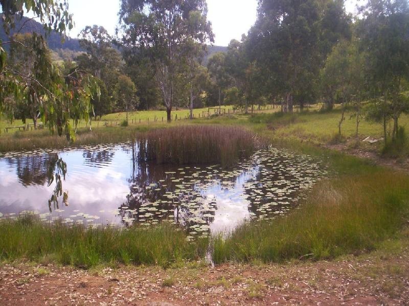 Burrell Creek NSW 2429