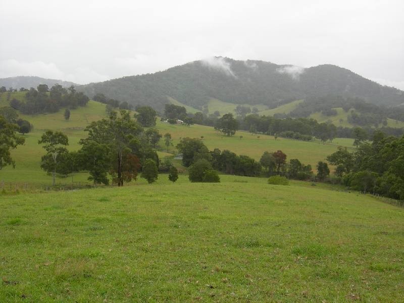 Burrell Creek NSW 2429