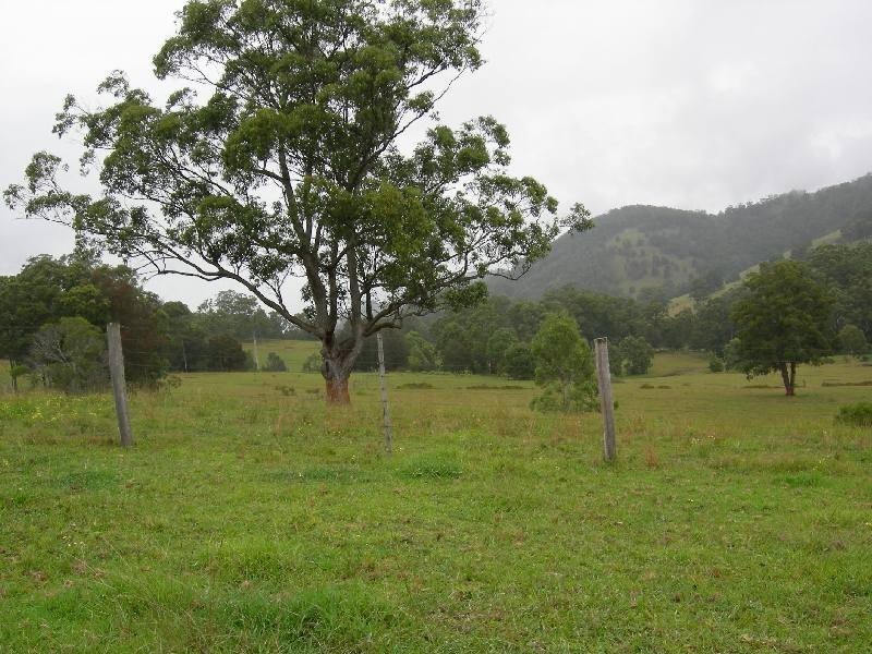 Burrell Creek NSW 2429