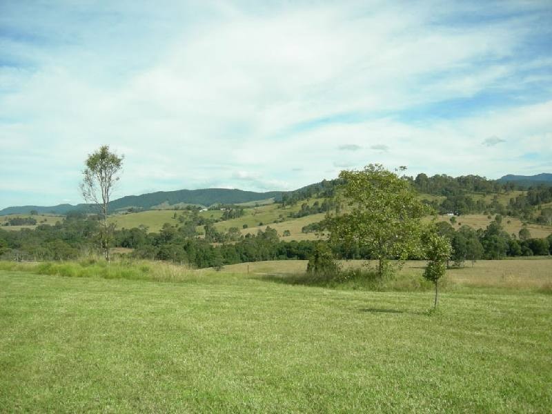 Bunyah NSW 2429