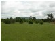Krambach NSW 2429