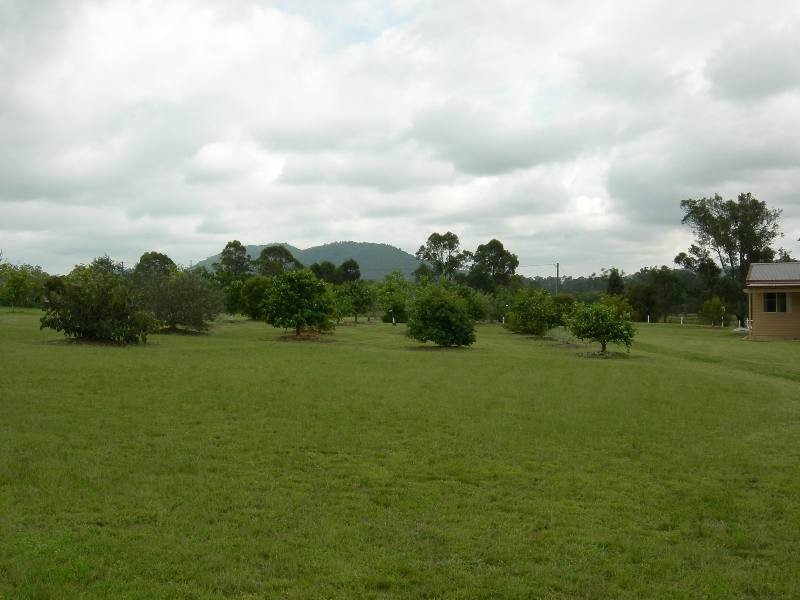 Krambach NSW 2429