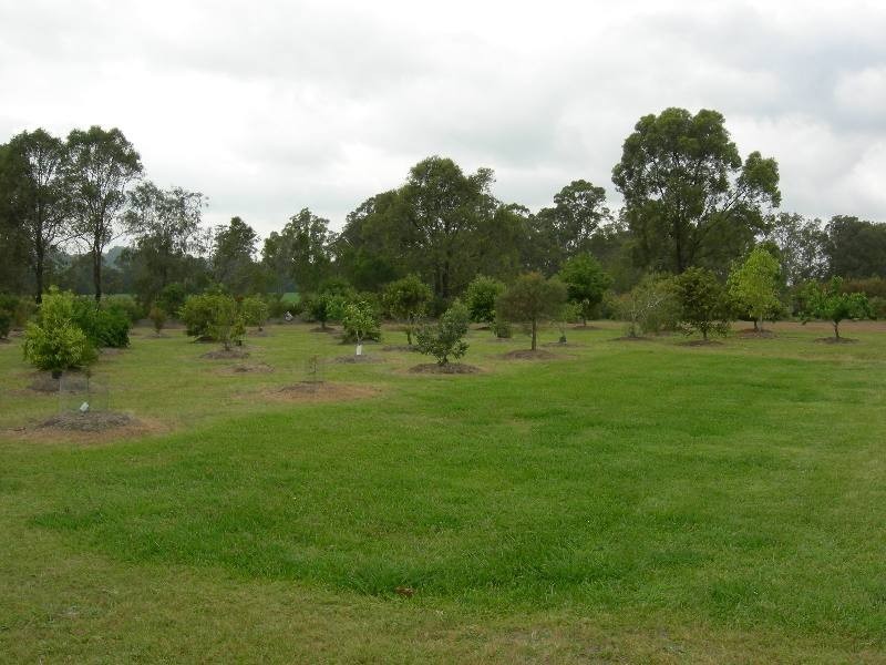 Krambach NSW 2429