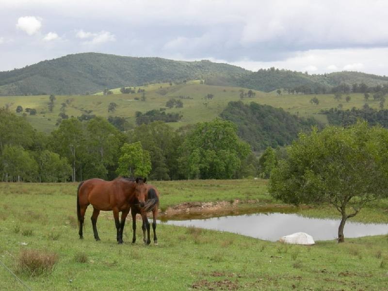 Knorrit Flat NSW 2424