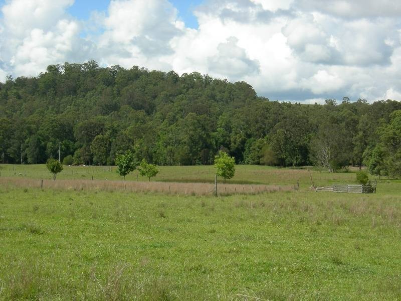 Dyers Crossing NSW 2429