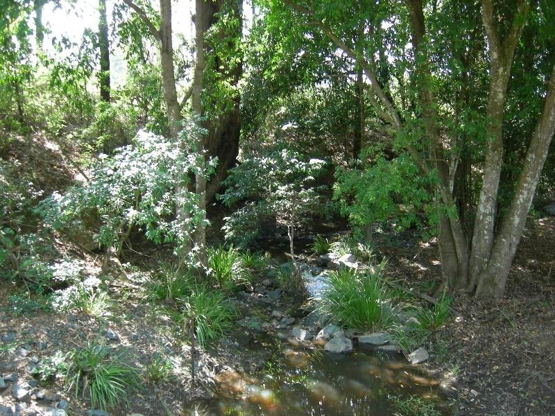 Dyers Crossing NSW 2429