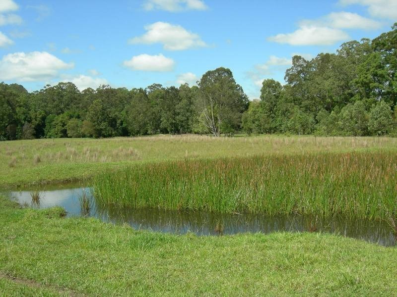 Dyers Crossing NSW 2429