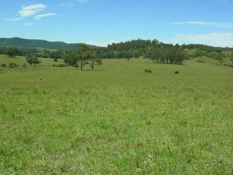 Bunyah NSW 2429