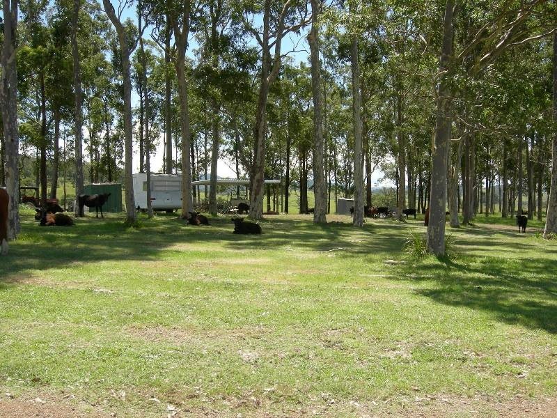 Bunyah NSW 2429