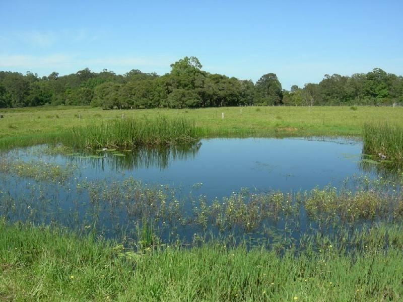 Dyers Crossing NSW 2429