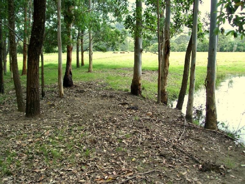 Dyers Crossing NSW 2429