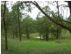 Firefly NSW 2429