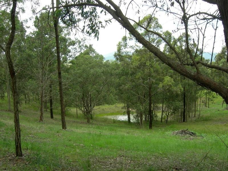 Firefly NSW 2429