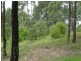 Firefly NSW 2429