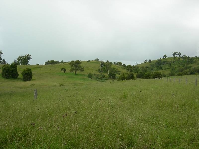 Wherrol Flat NSW 2429