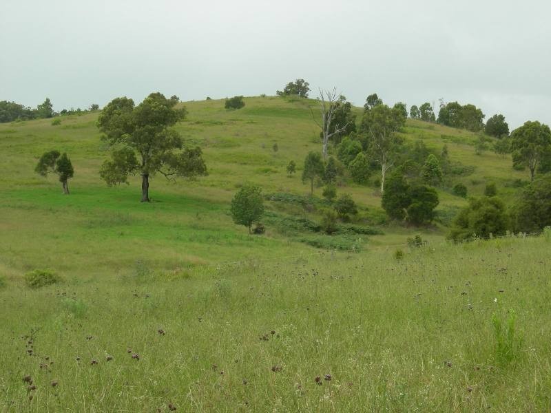 Wherrol Flat NSW 2429