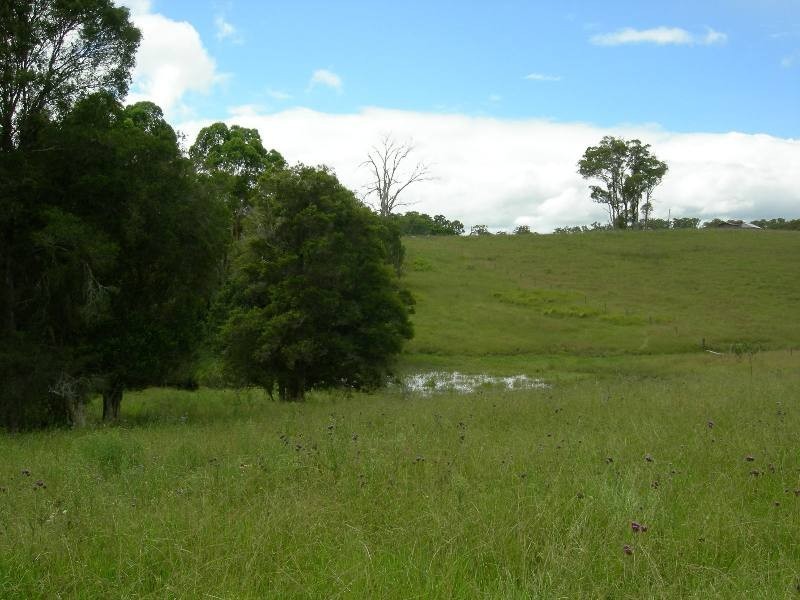 Wherrol Flat NSW 2429