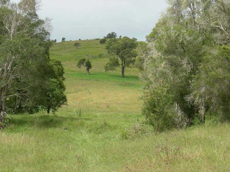 Wherrol Flat NSW 2429