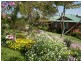 Wingham NSW 2429