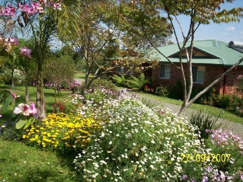Wingham NSW 2429