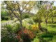 Wingham NSW 2429