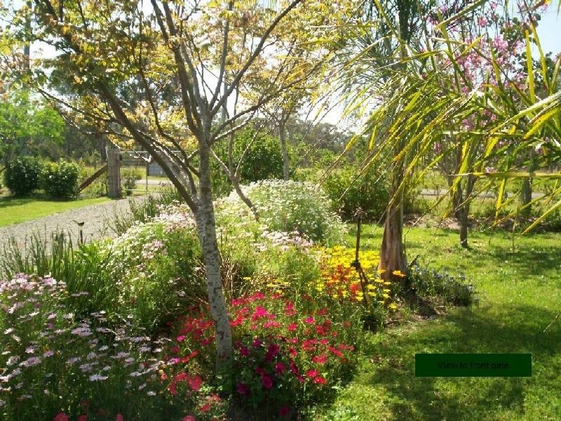 Wingham NSW 2429