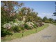 Wingham NSW 2429