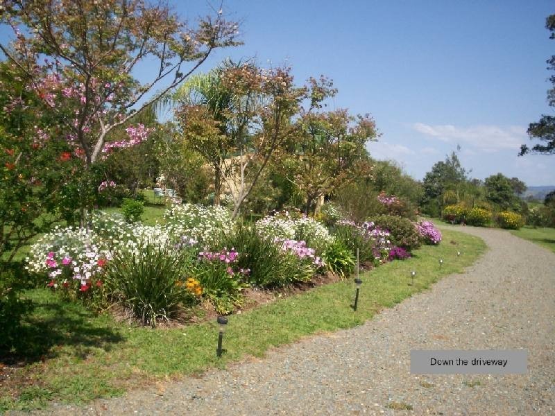 Wingham NSW 2429