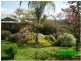 Wingham NSW 2429