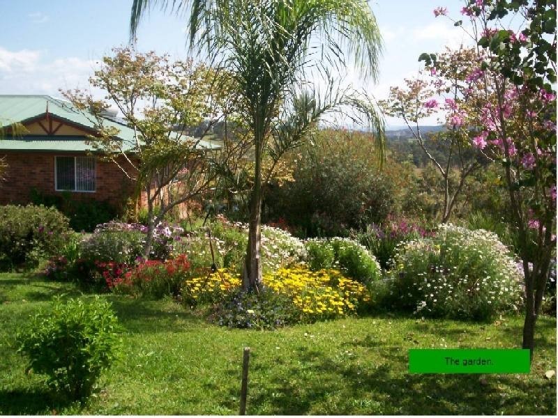 Wingham NSW 2429