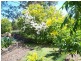 Wingham NSW 2429